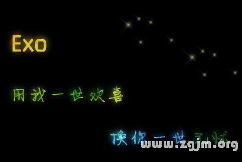 最新exo网名大全