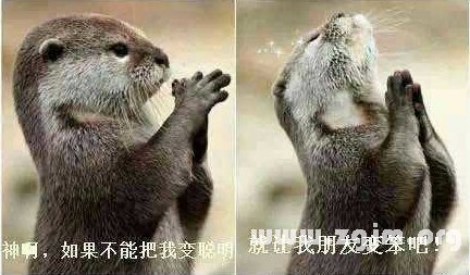 霸气好看的长网名大全