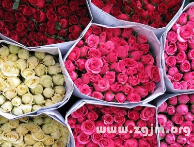 最浪漫的情侣名字1