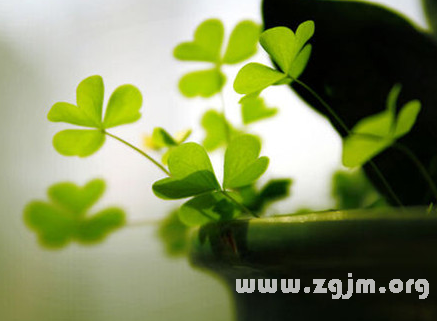 炫舞情侣网名 幸福