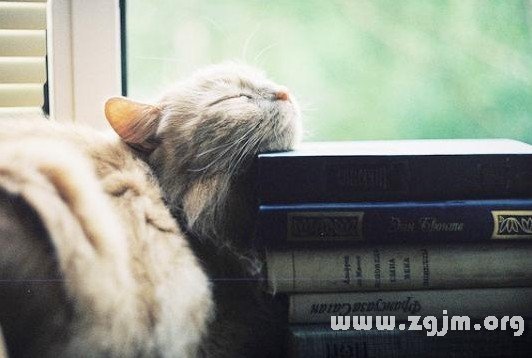 经典qq情侣网名