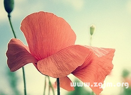 好听的情侣网名大全