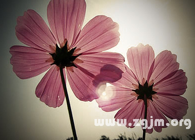 好听的情侣网名大全