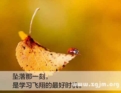 qq网名情侣 qq情侣网名