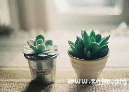 非主流妩媚女生网名