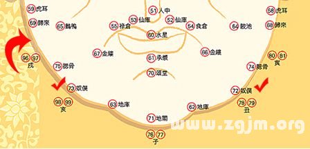 峰生水起面相学:第03课 面型