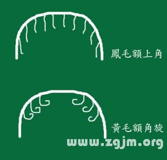 峰生水起面相学:第07课 额头看相