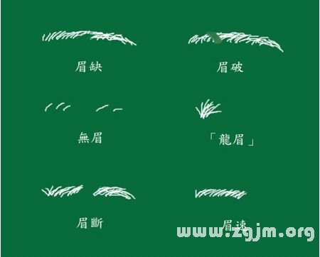 峰生水起面相学:第09课 眉毛看相