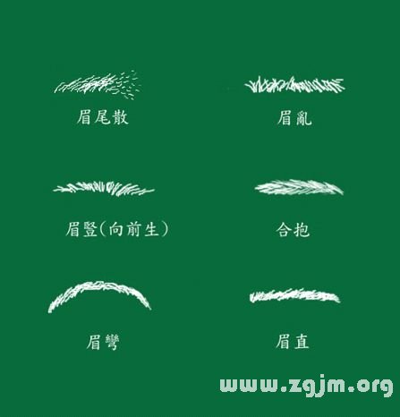 峰生水起面相学:第09课 眉毛看相