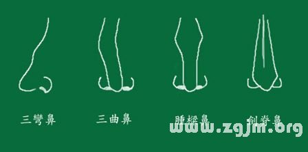 峰生水起面相学:第11课 鼻子看相