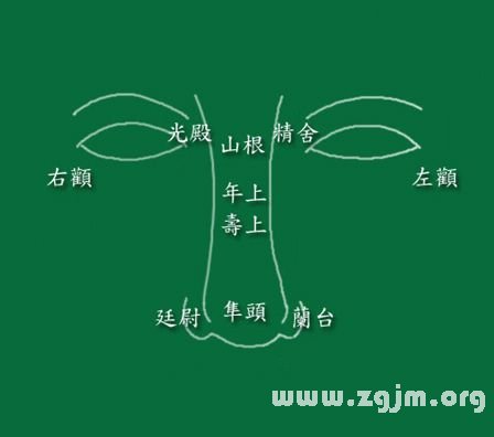 峰生水起面相学:第11课 鼻子看相