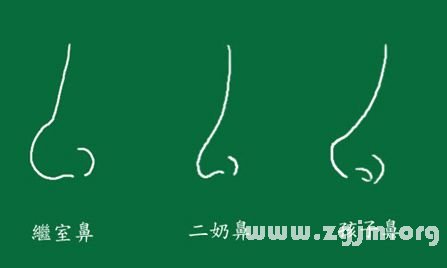 峰生水起面相学:第11课 鼻子看相