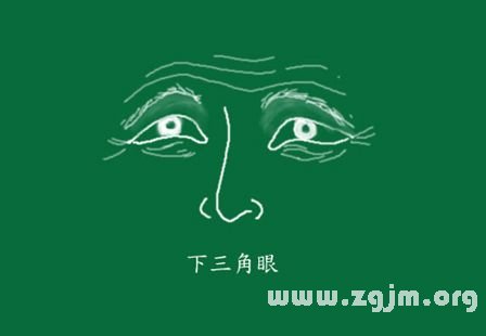 峰生水起面相学:第11课 鼻子看相