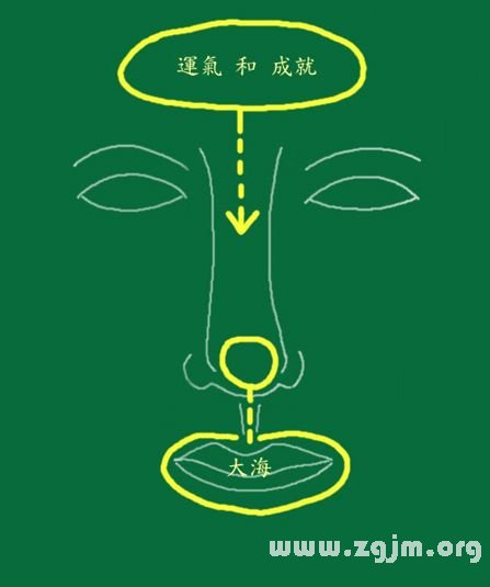 峰生水起面相学:第11课 鼻子看相