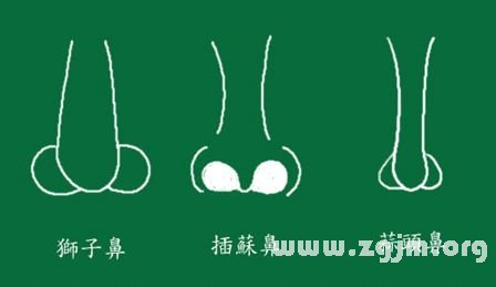 峰生水起面相学:第11课 鼻子看相