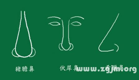 峰生水起面相学:第11课 鼻子看相