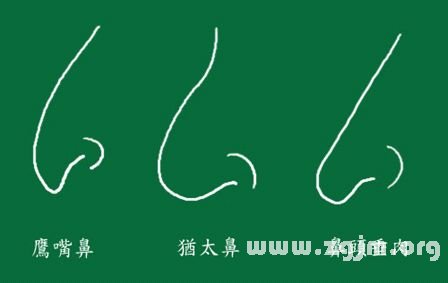 峰生水起面相学:第11课 鼻子看相