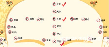 峰生水起面相学:第01课 中央十四气势