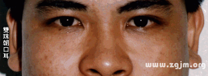 面相分析:5、上停─耳