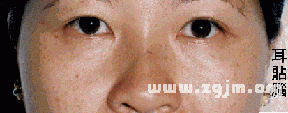 面相分析:5、上停─耳