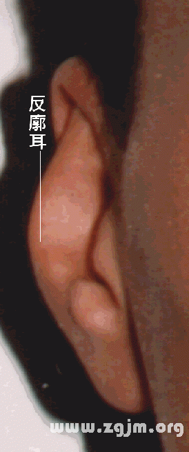 面相分析:5、上停─耳