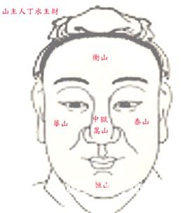 看面相算命:第二课 总论