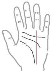 看手相算命:第一课 手相概论