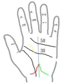看手相算命:第一课 手相概论