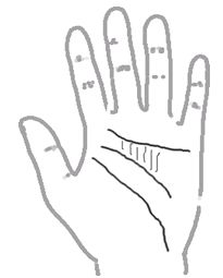 看手相算命:第一课 手相概论