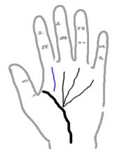 看手相算命:第四课 论事业命运