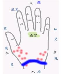 看手相算命:第五课 论健康