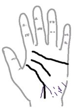 看手相算命:第五课 论健康