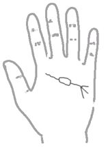 看手相算命:第五课 论健康