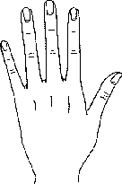 看手相算命图解:手