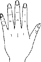 看手相算命图解:手