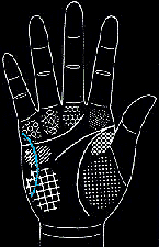 看手相算命图解:掌线