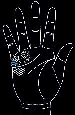 看手相算命图解:掌线