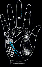 看手相算命图解:掌线