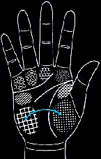 看手相算命图解:掌线