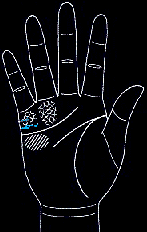 看手相算命图解:掌线