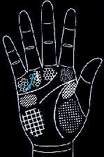 看手相算命图解:掌线