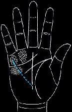 看手相算命图解:掌线