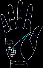 看手相算命图解:掌线