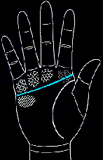 看手相算命图解:掌线