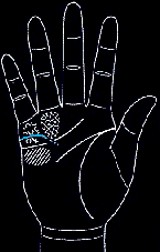 看手相算命图解:掌线