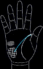 看手相算命图解:掌线