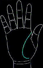 看手相算命图解:掌线