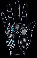 看手相算命图解:掌线