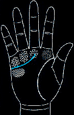 看手相算命图解:掌线