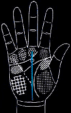 看手相算命图解:掌线